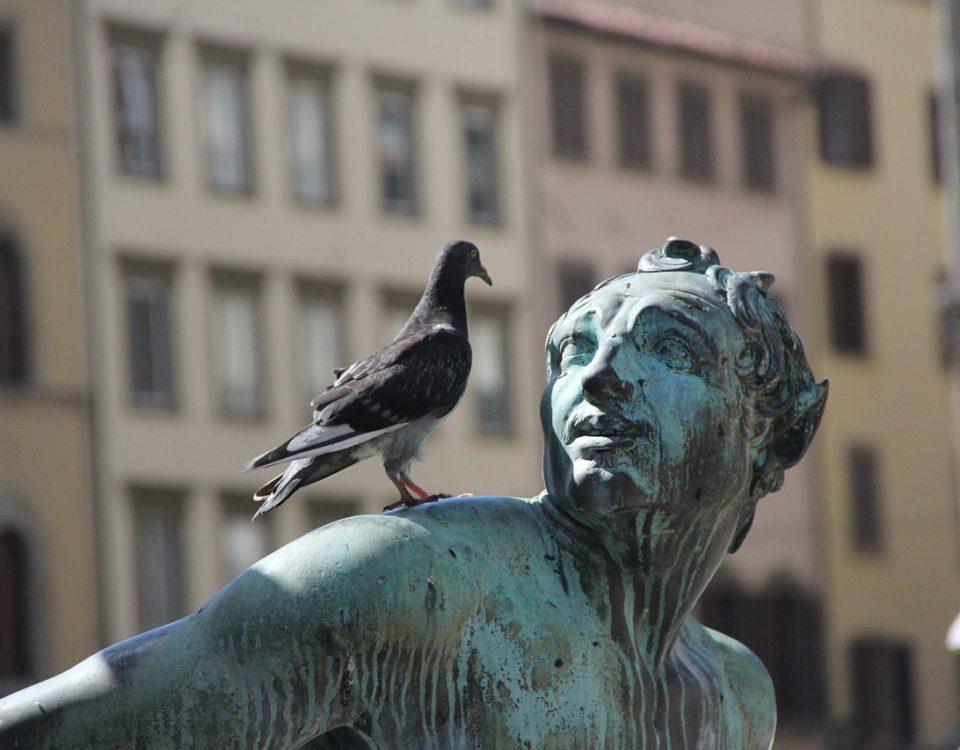 ptak na posągu